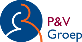 Logo P&V Group